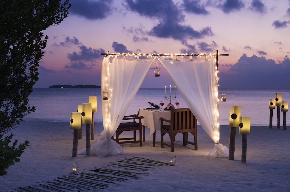 Couples dining