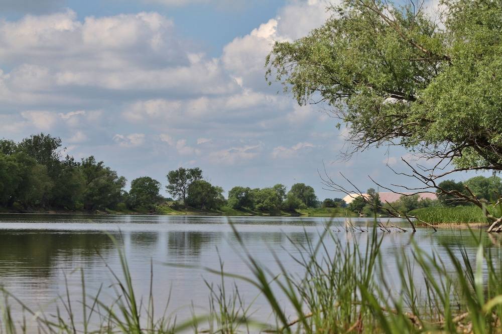 Lake view