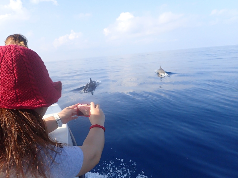 Ecotours