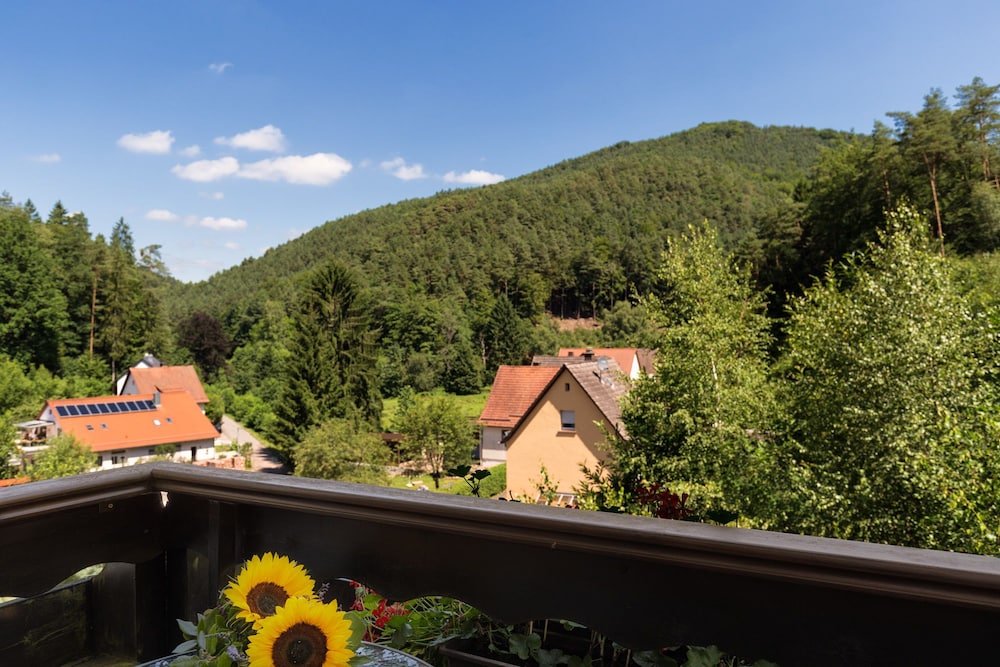 View from room