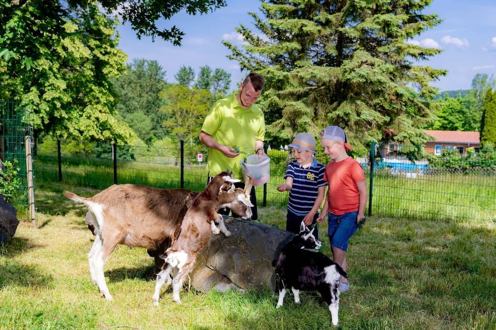 Children's activities