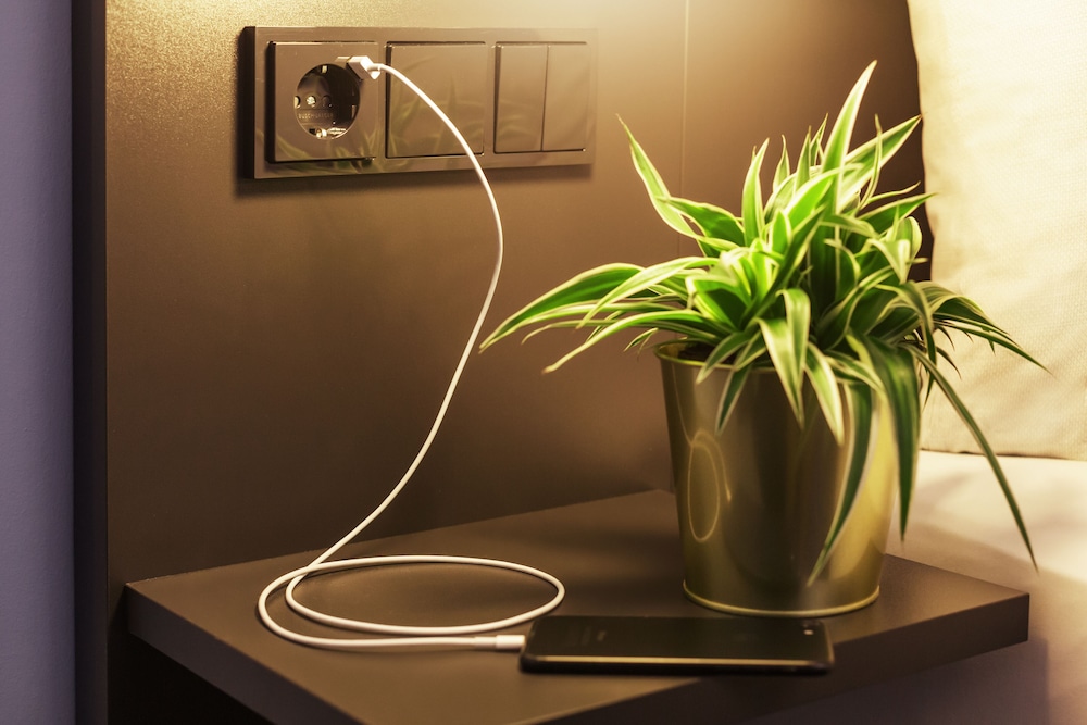 Room amenity