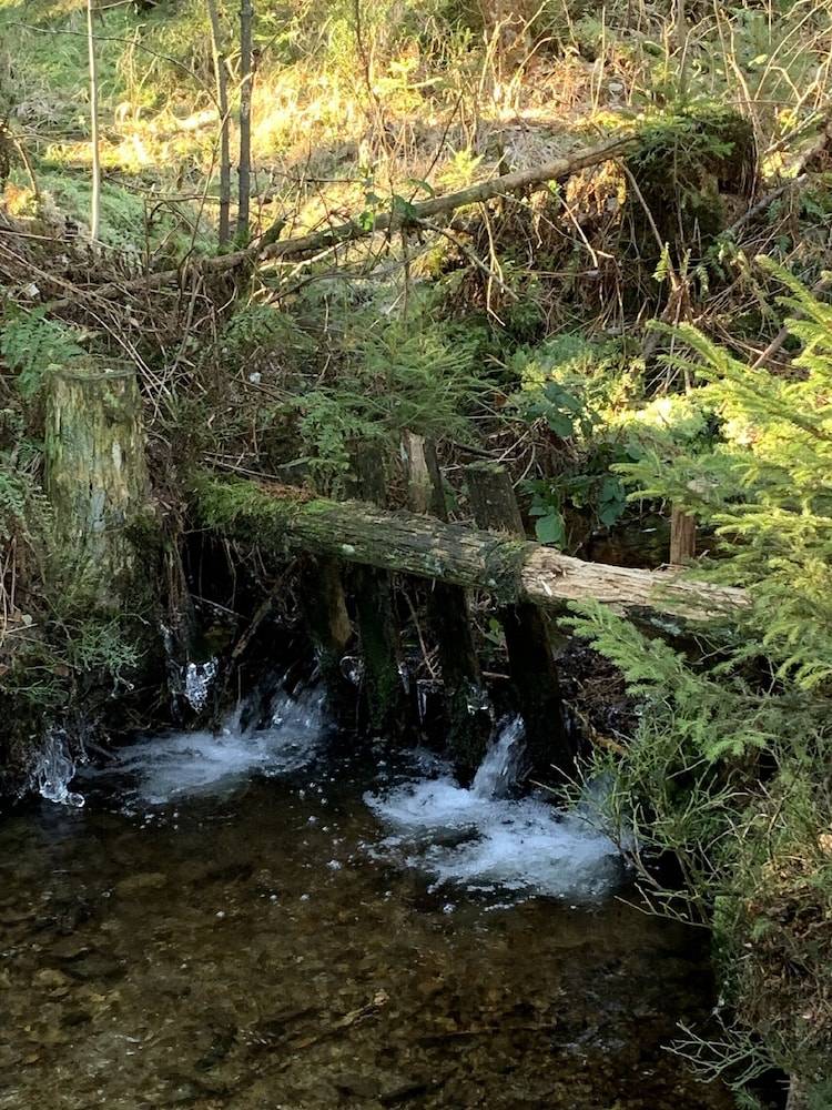 Hiking