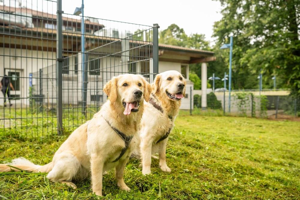 Pet-friendly amenities