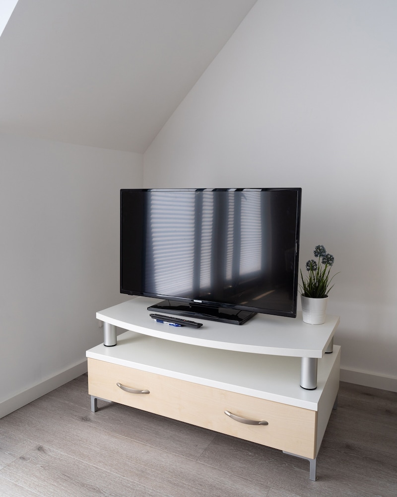Television