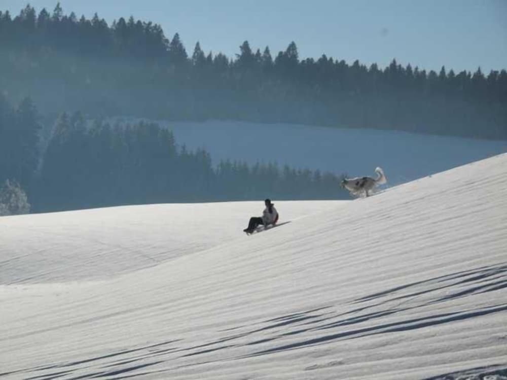 Snow and ski sports