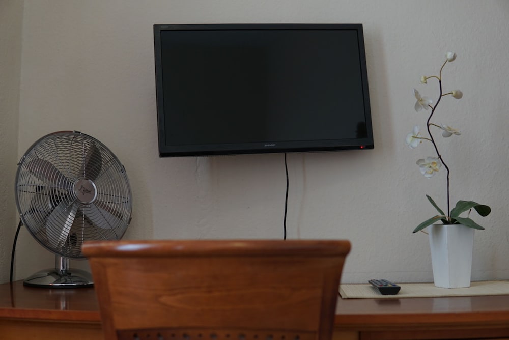 Television