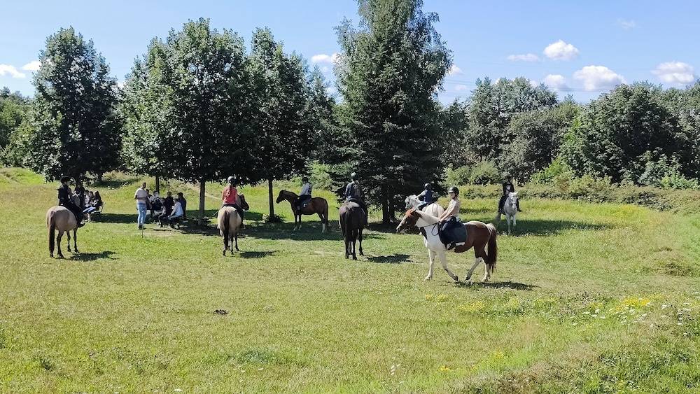 Horseback riding