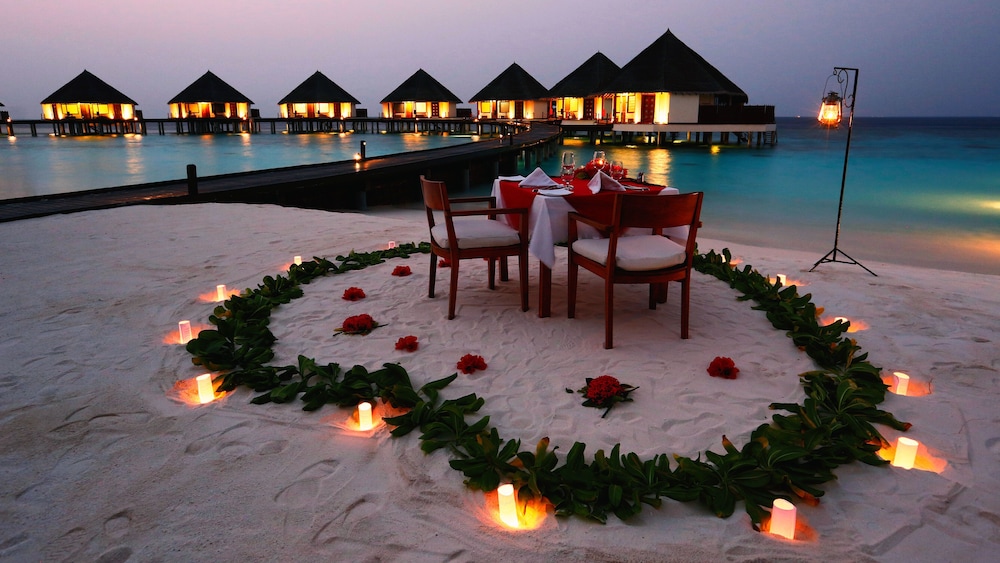 Couples dining