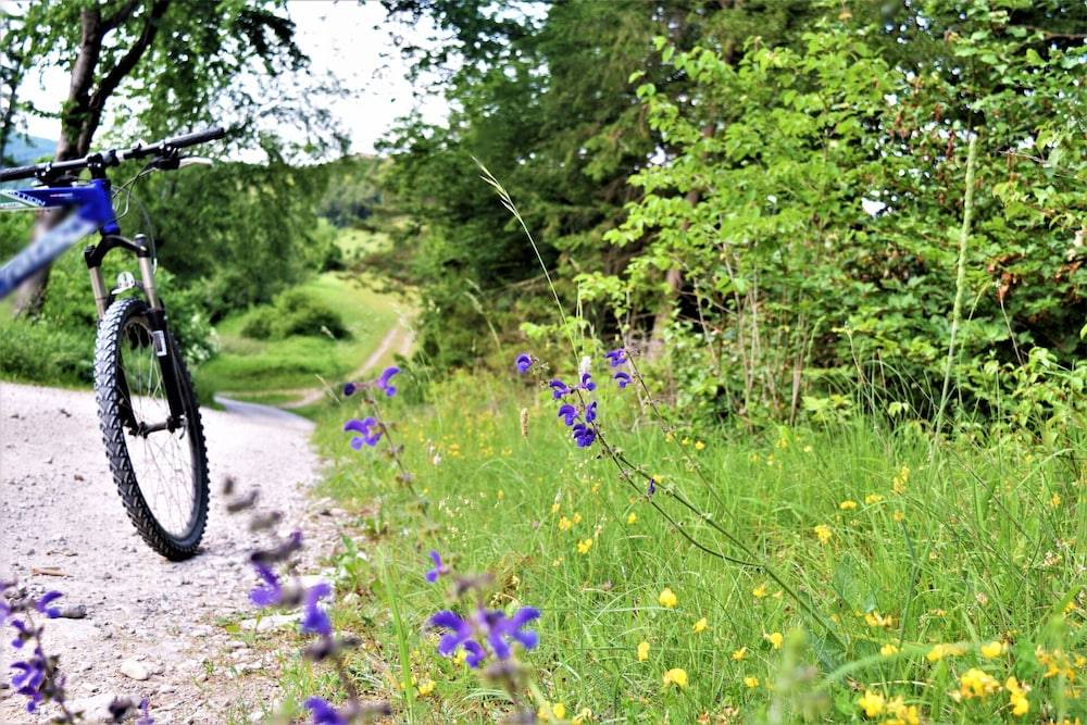 Bicycling