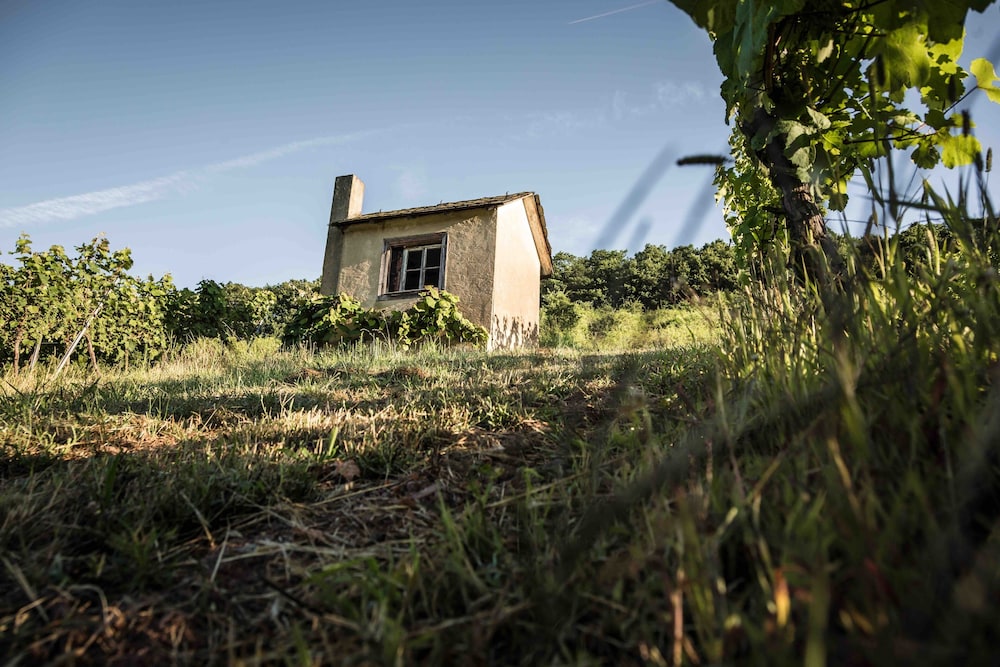 Winery