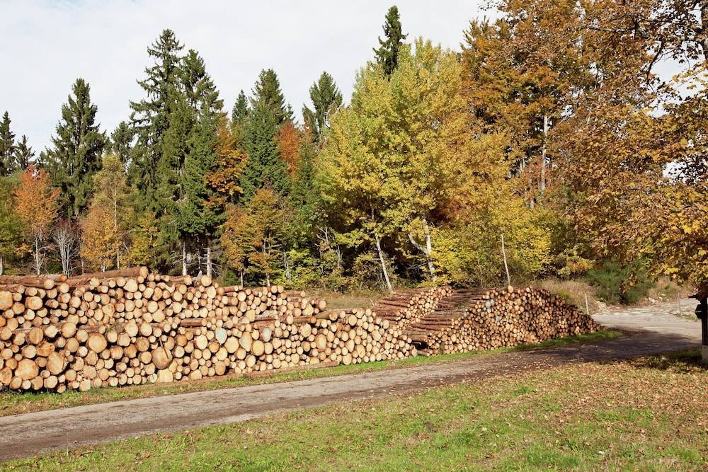 View from property