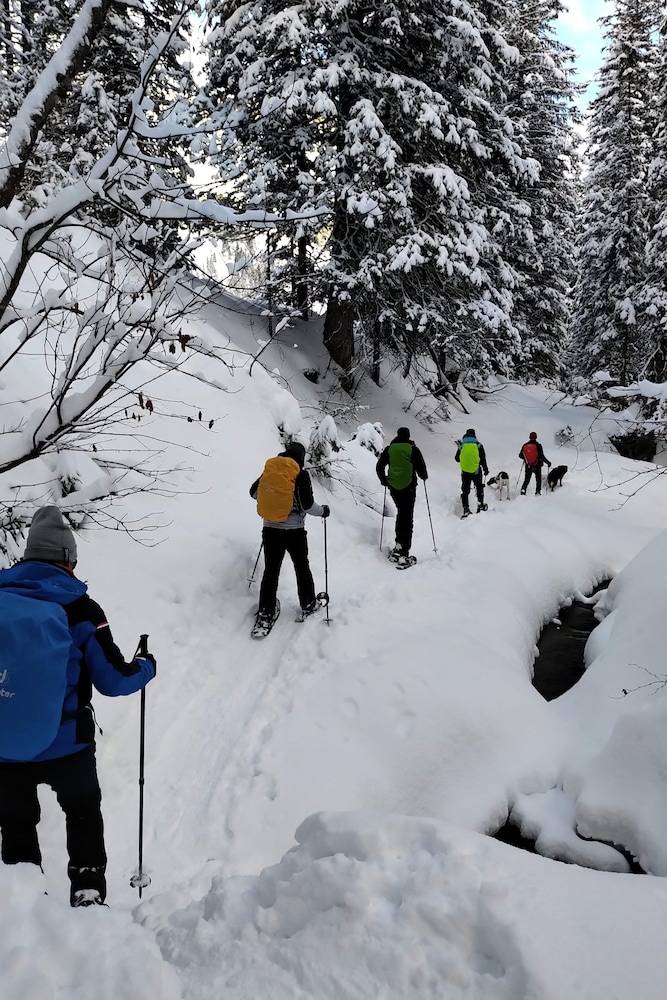 Snowshoeing