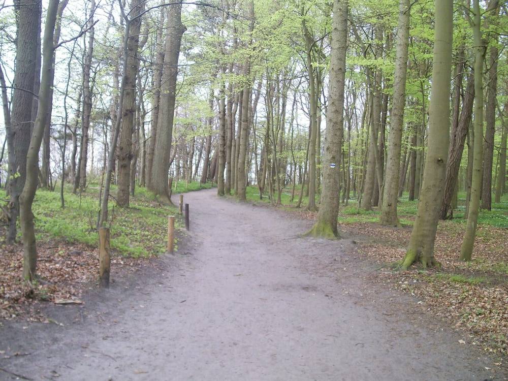 Hiking