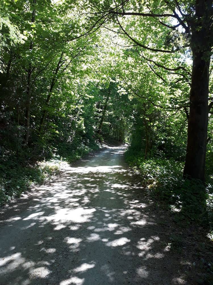 Hiking