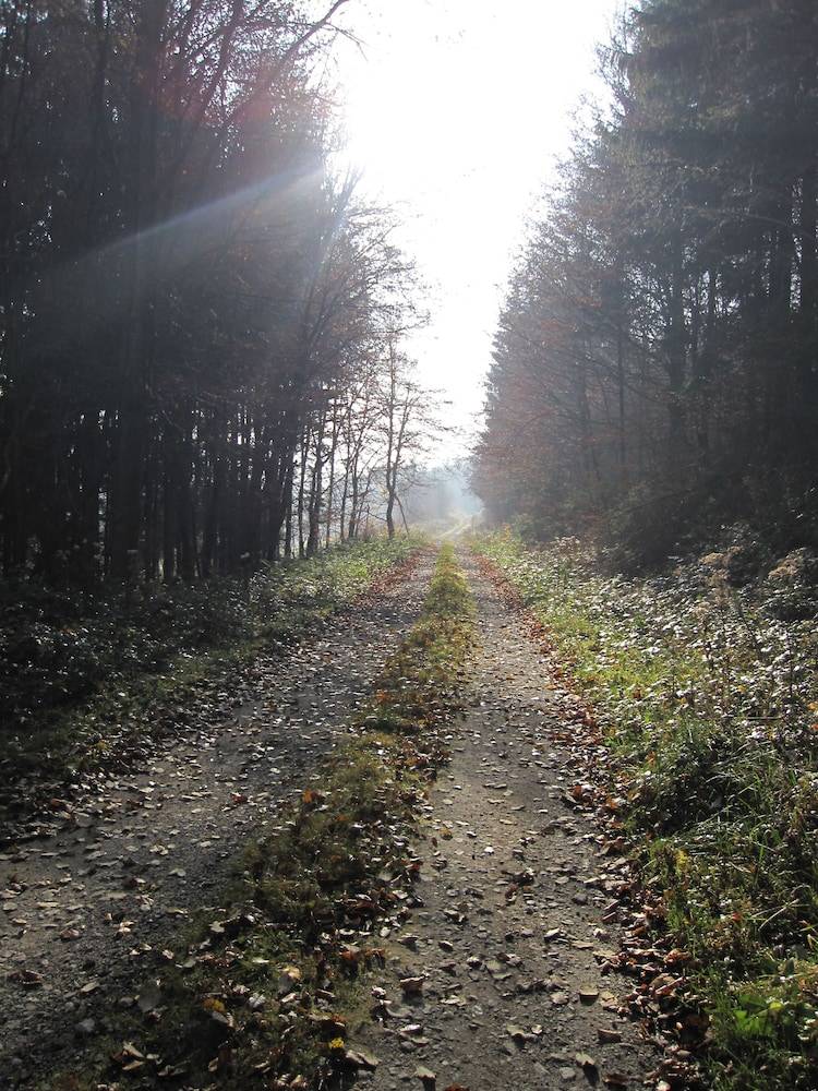 Hiking