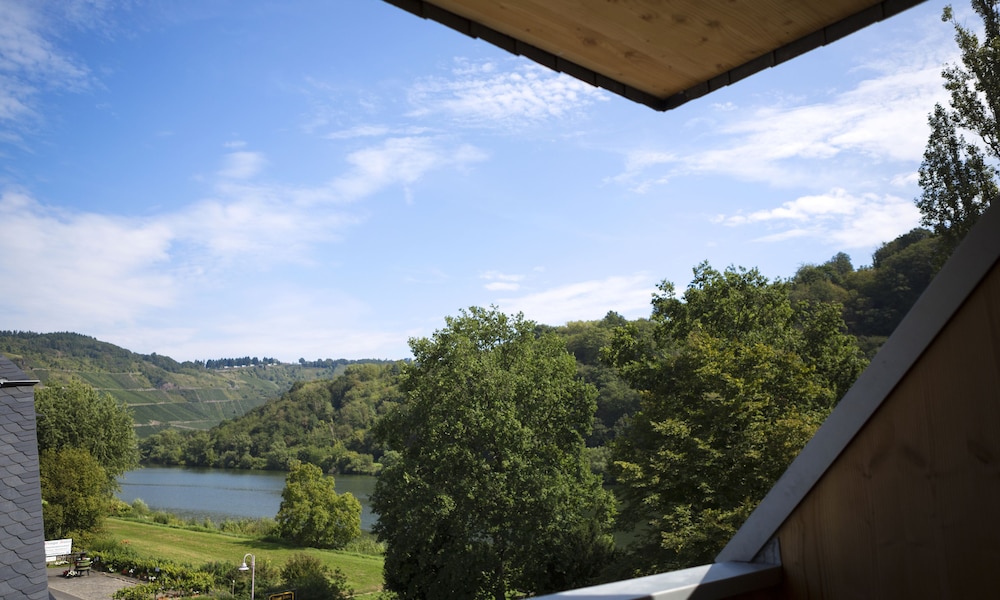 Vineyard View