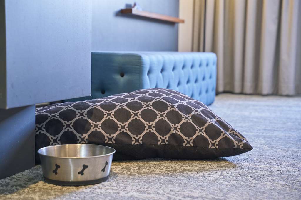 Hundebett Napf