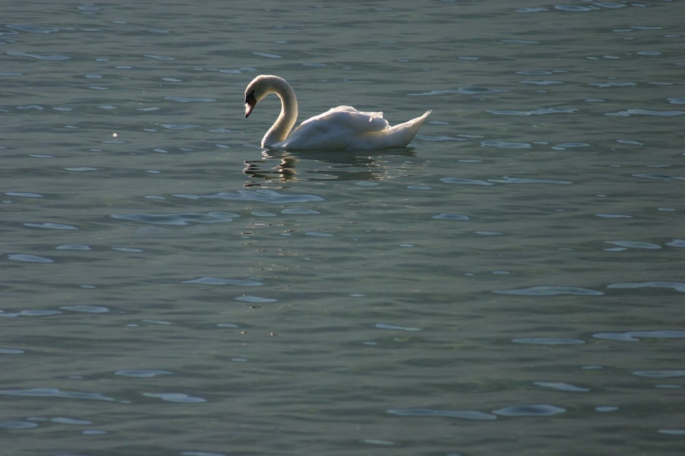 Boating