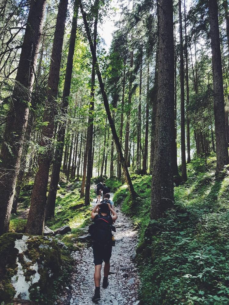 Hiking