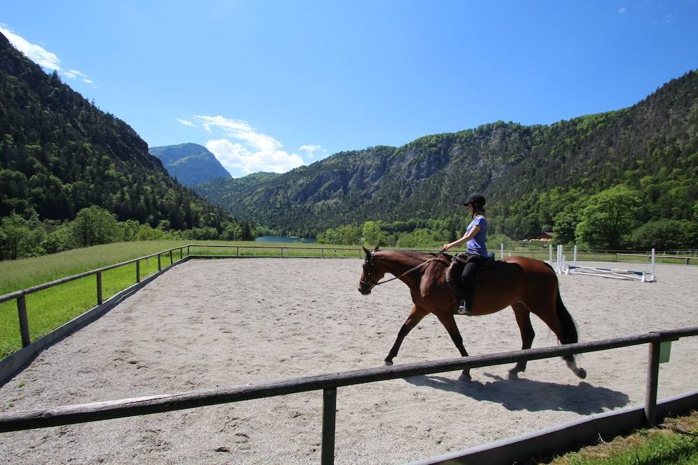 Horseback riding