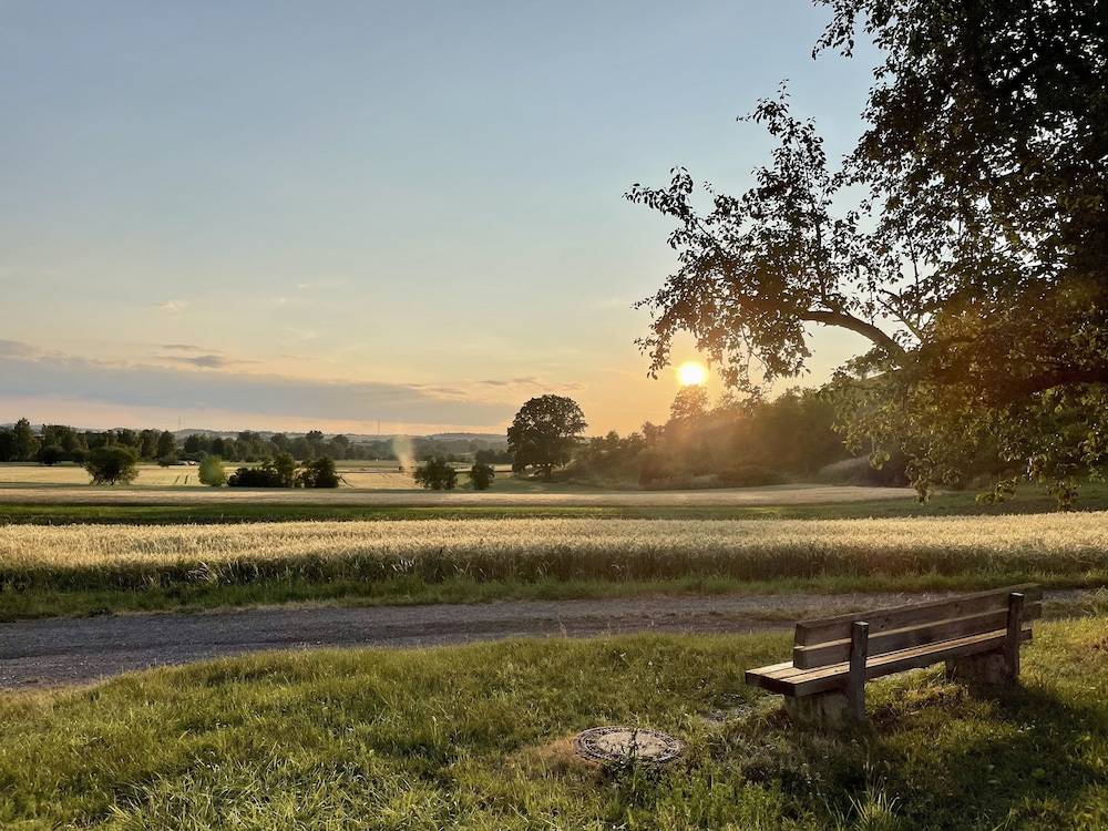 Land view from property