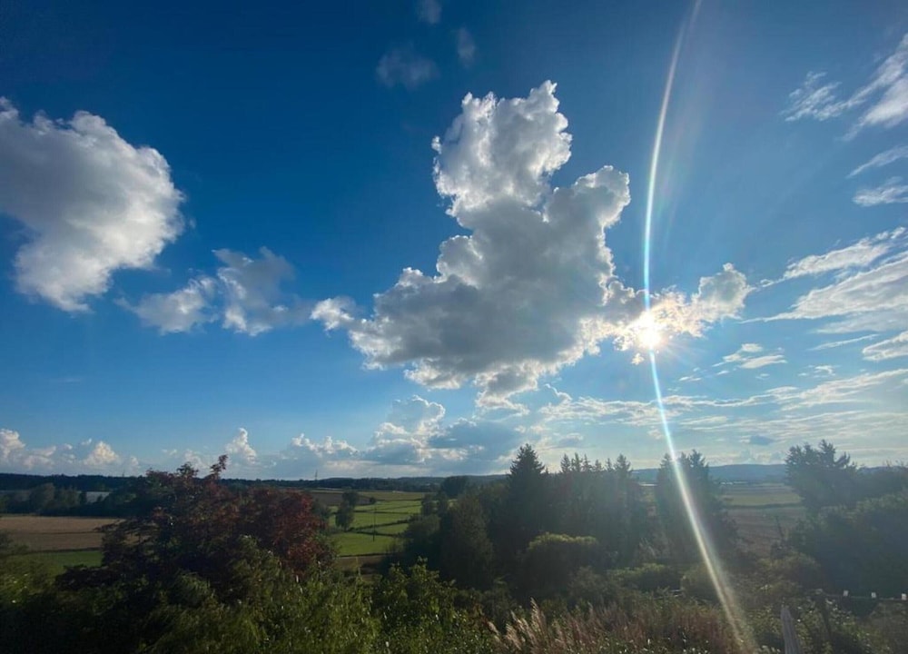 View from property