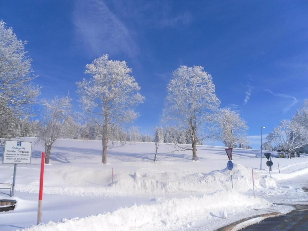 Snow and ski sports