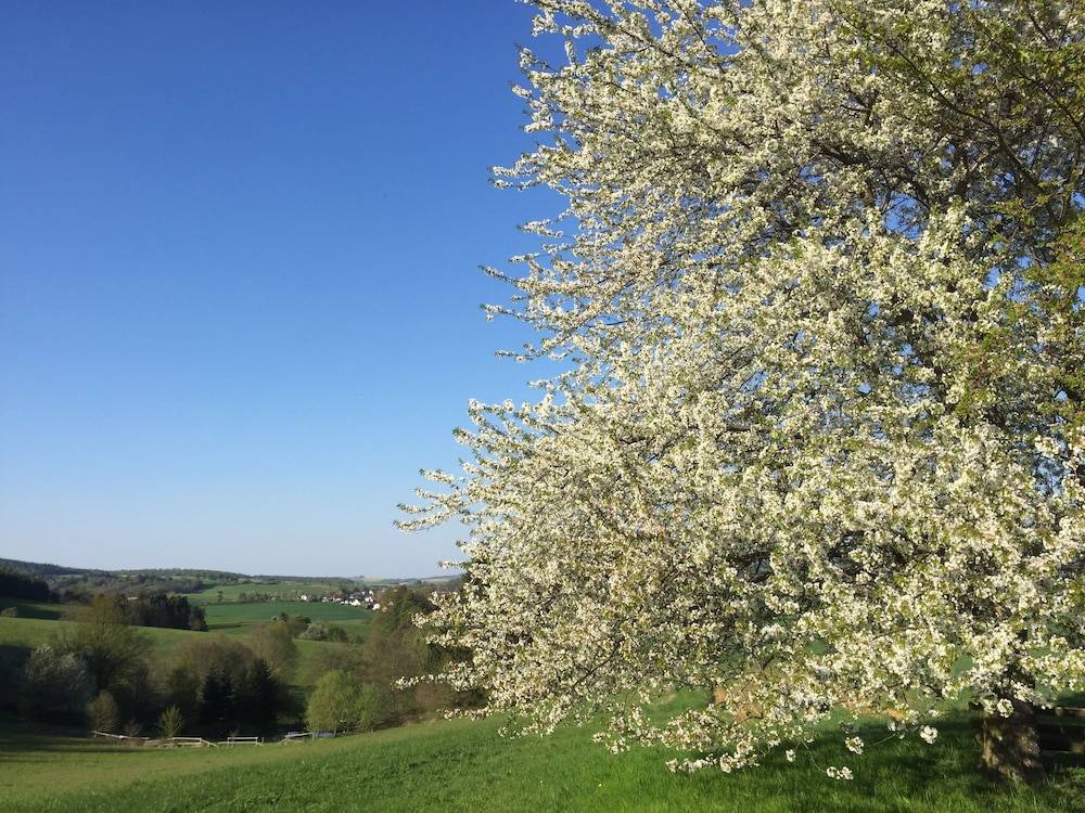 Land view from property