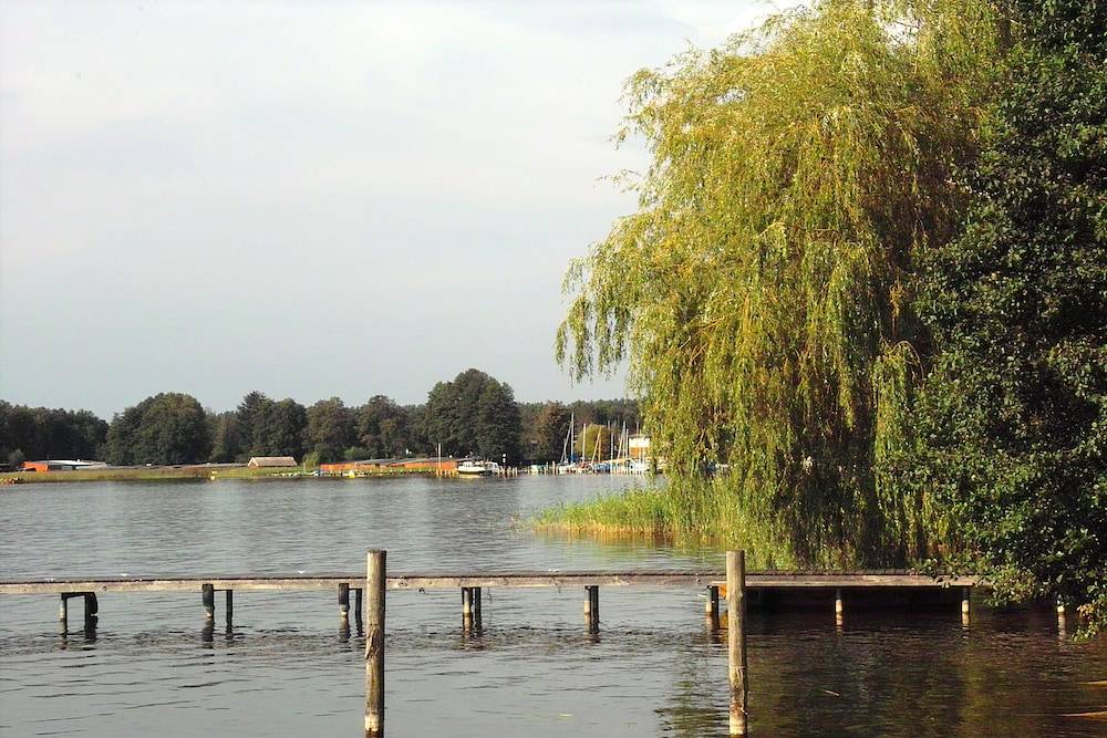 Lake view