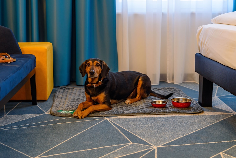 Pet-friendly