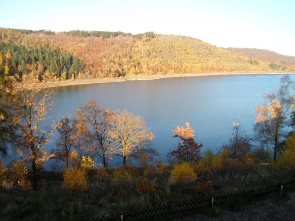 Lake view