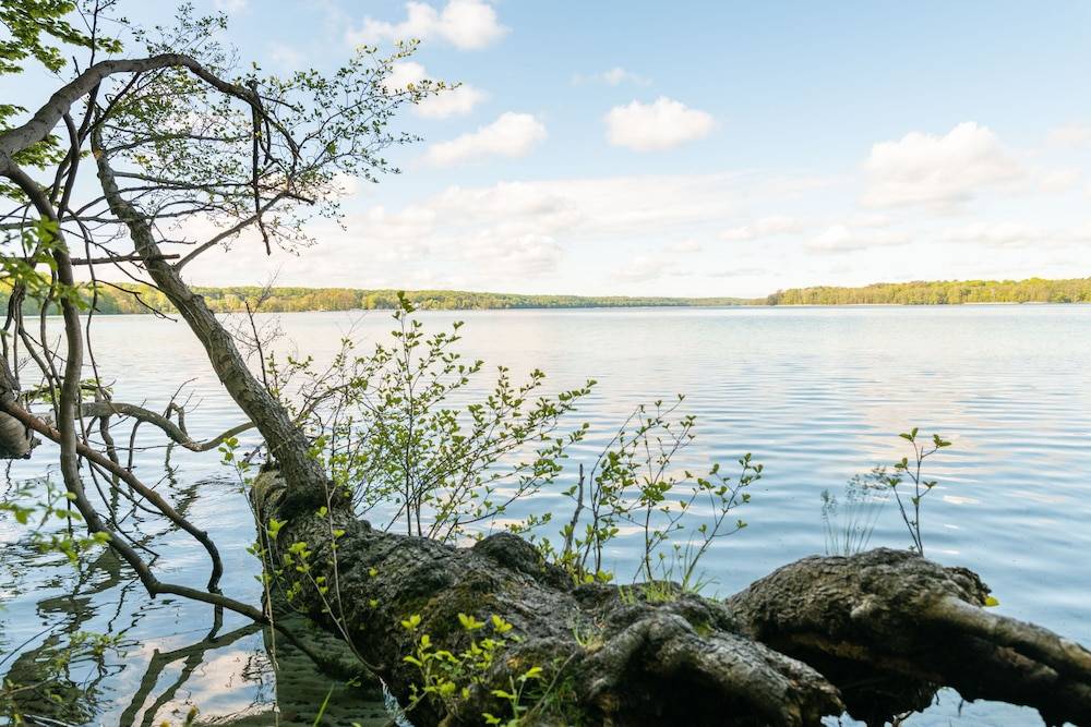 Lake view