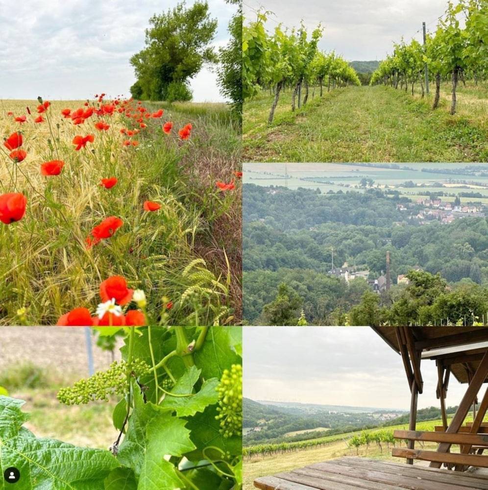 Land view from property