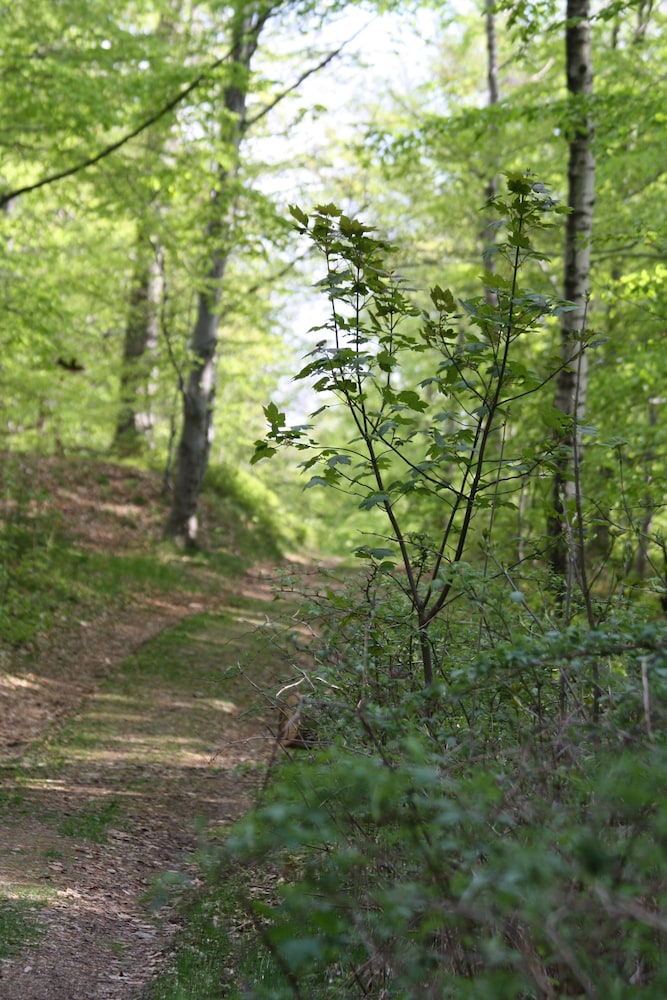 Hiking