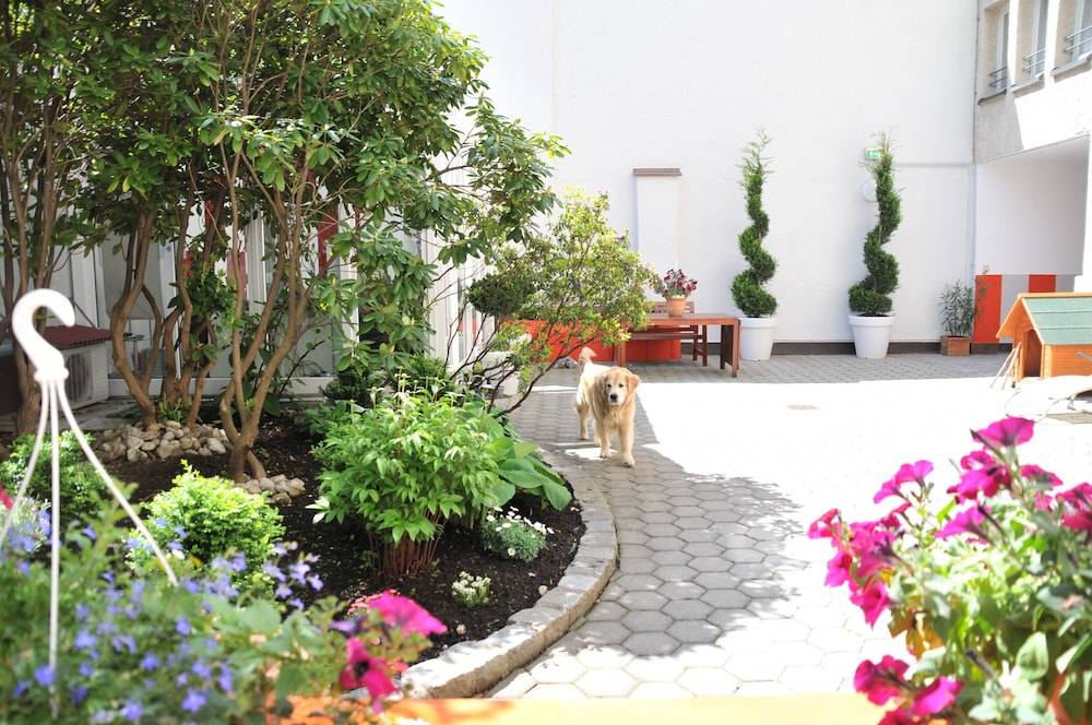 Garden view