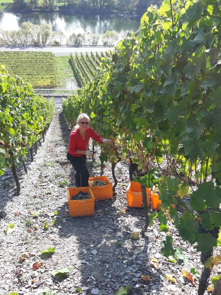 Winery