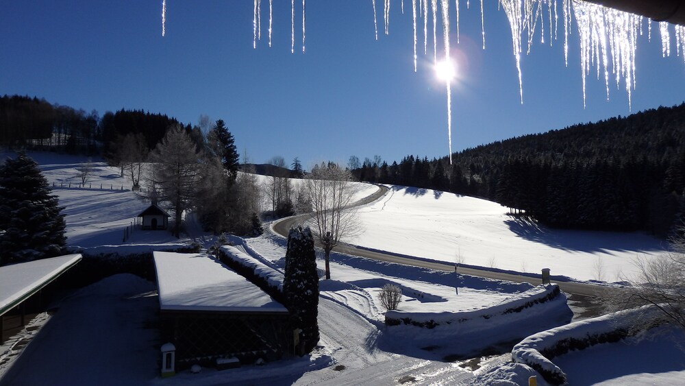 Snowshoeing