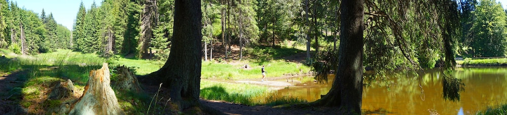 Hiking
