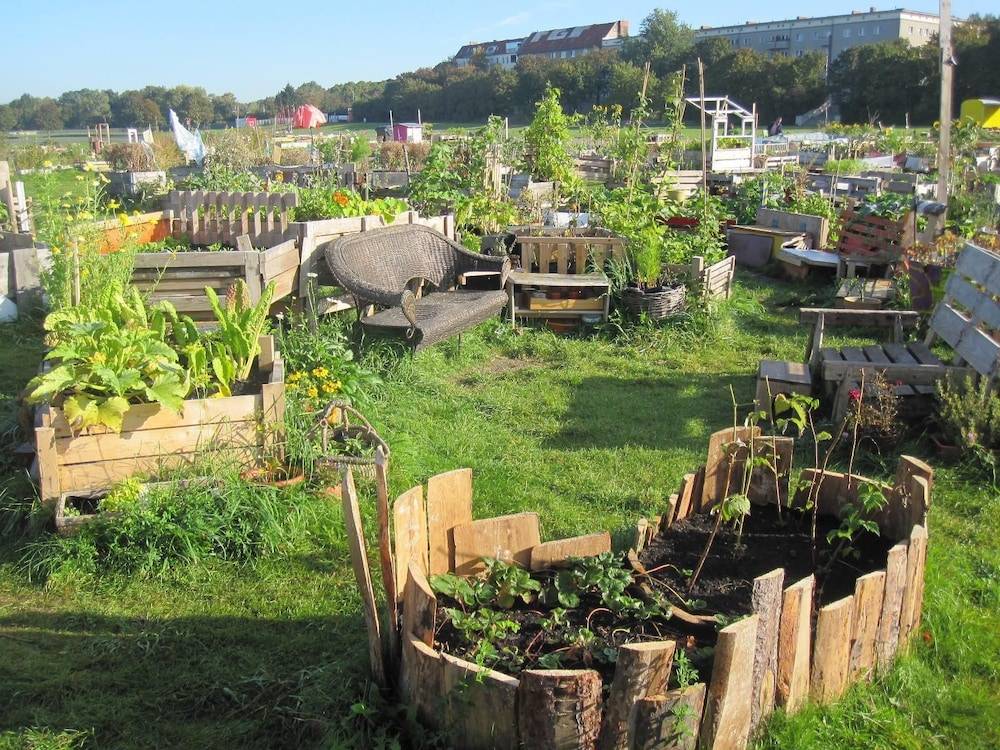 Garden