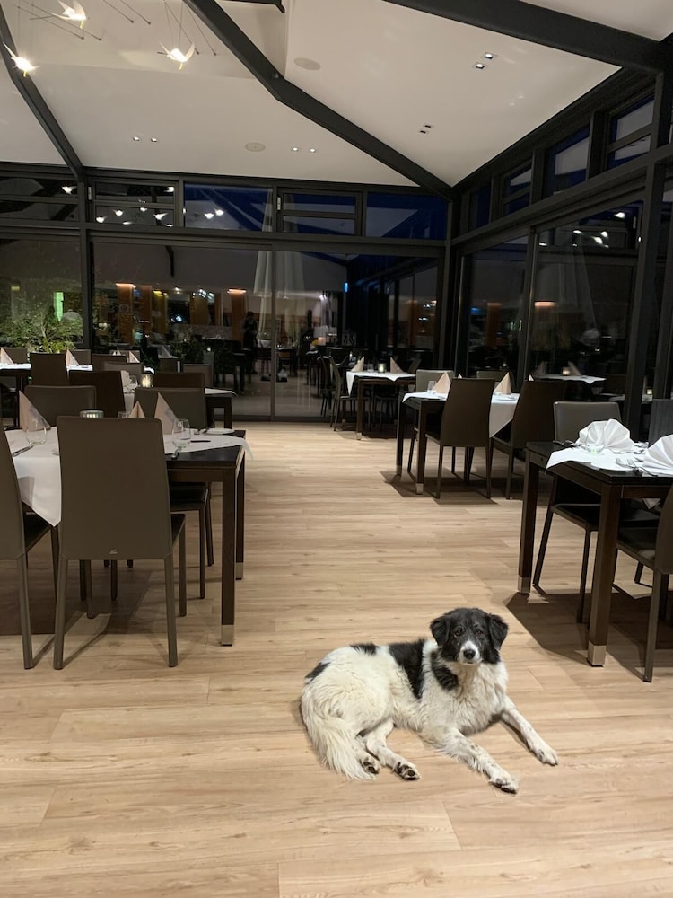 Pet-friendly