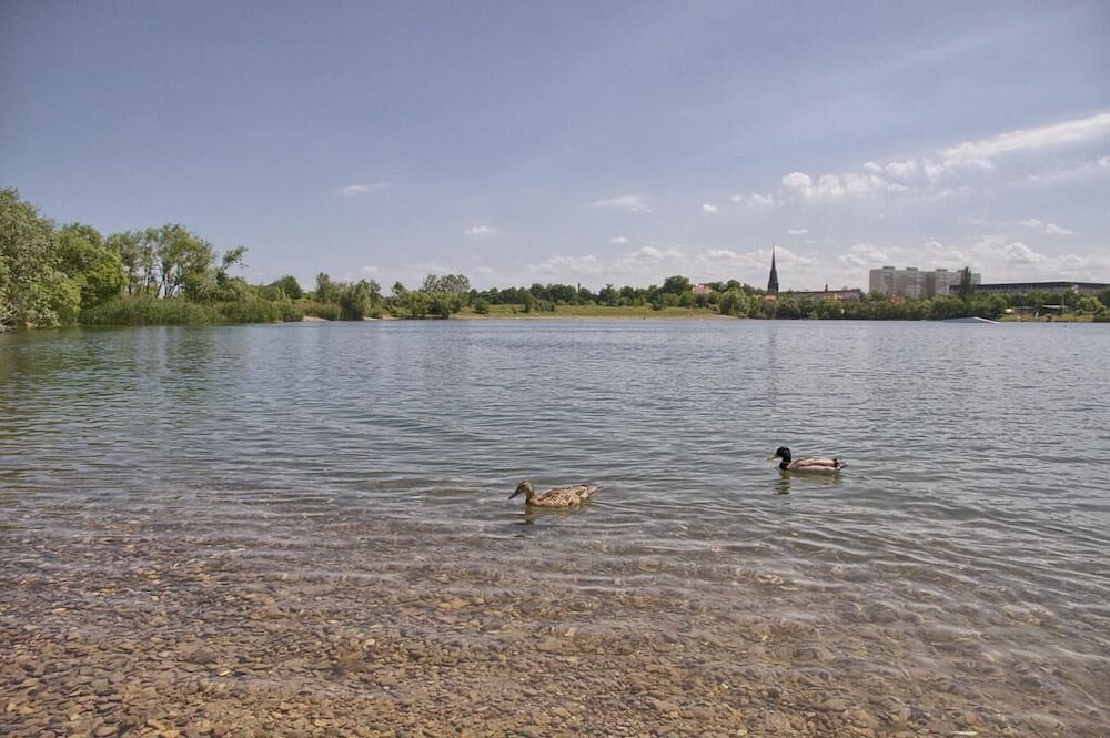 Lake