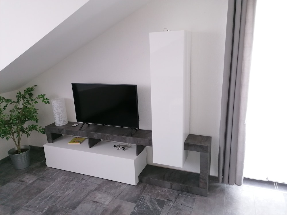 Television