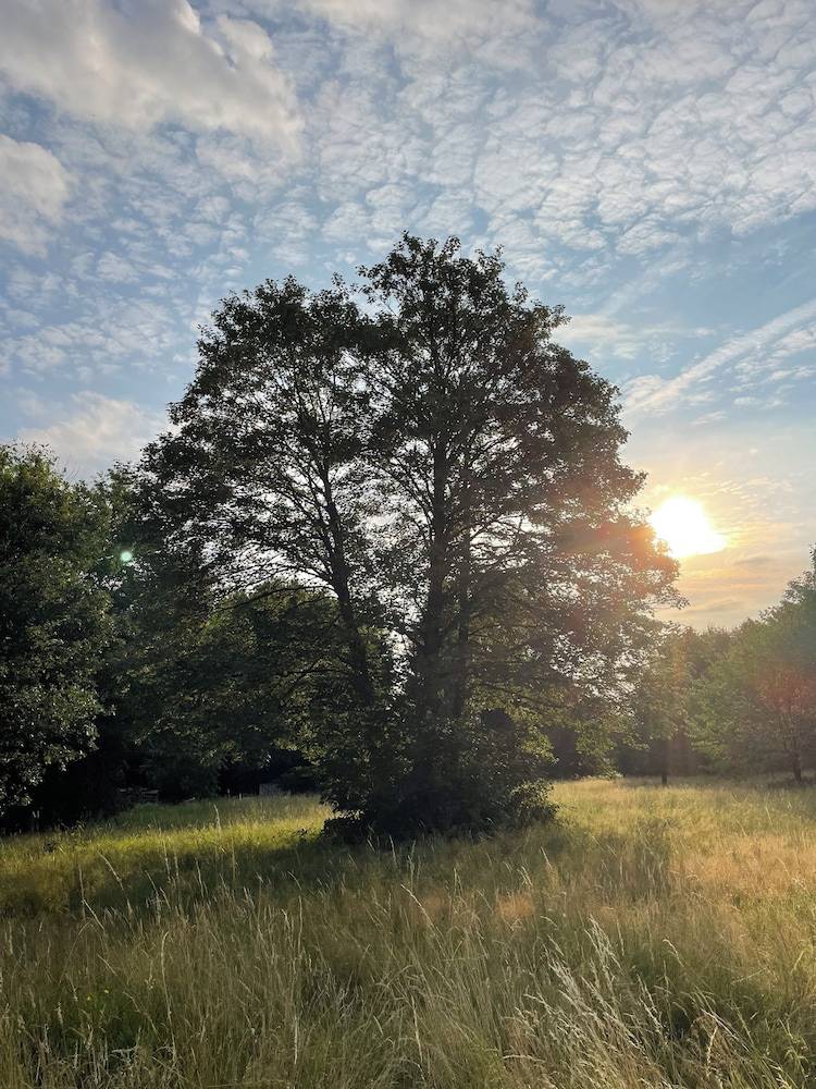 Land view from property