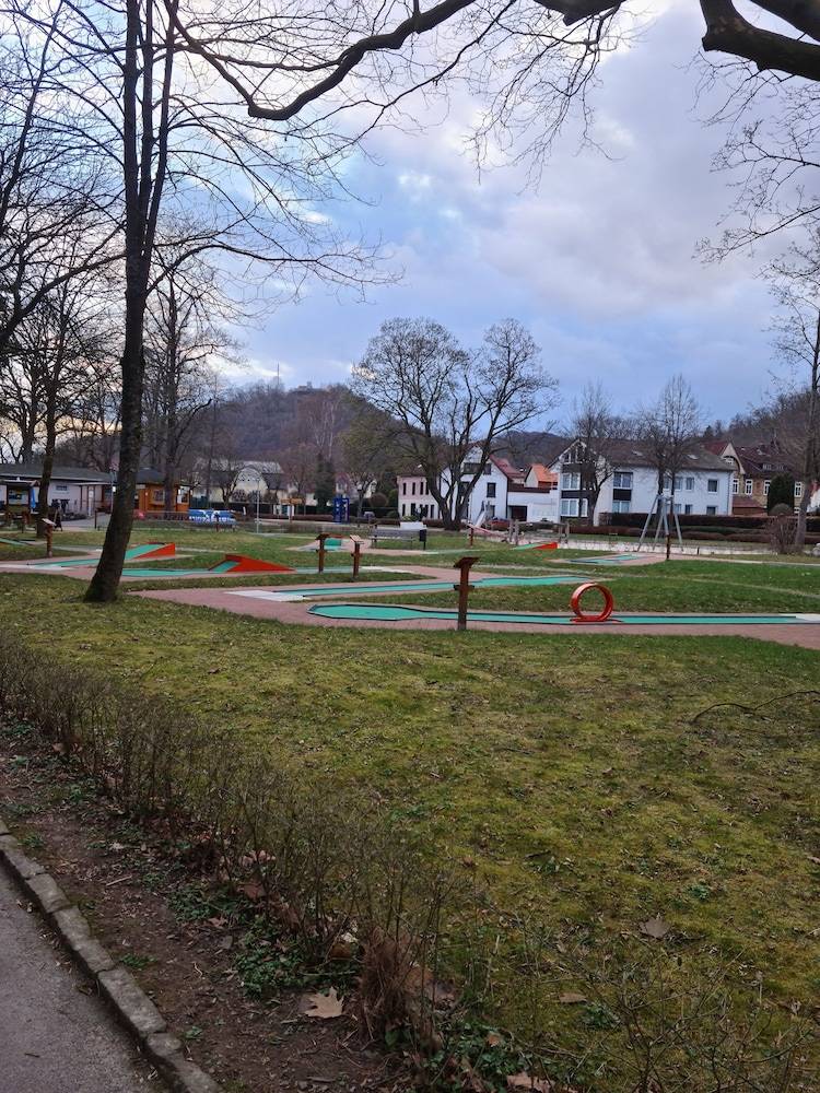 Mini-golf