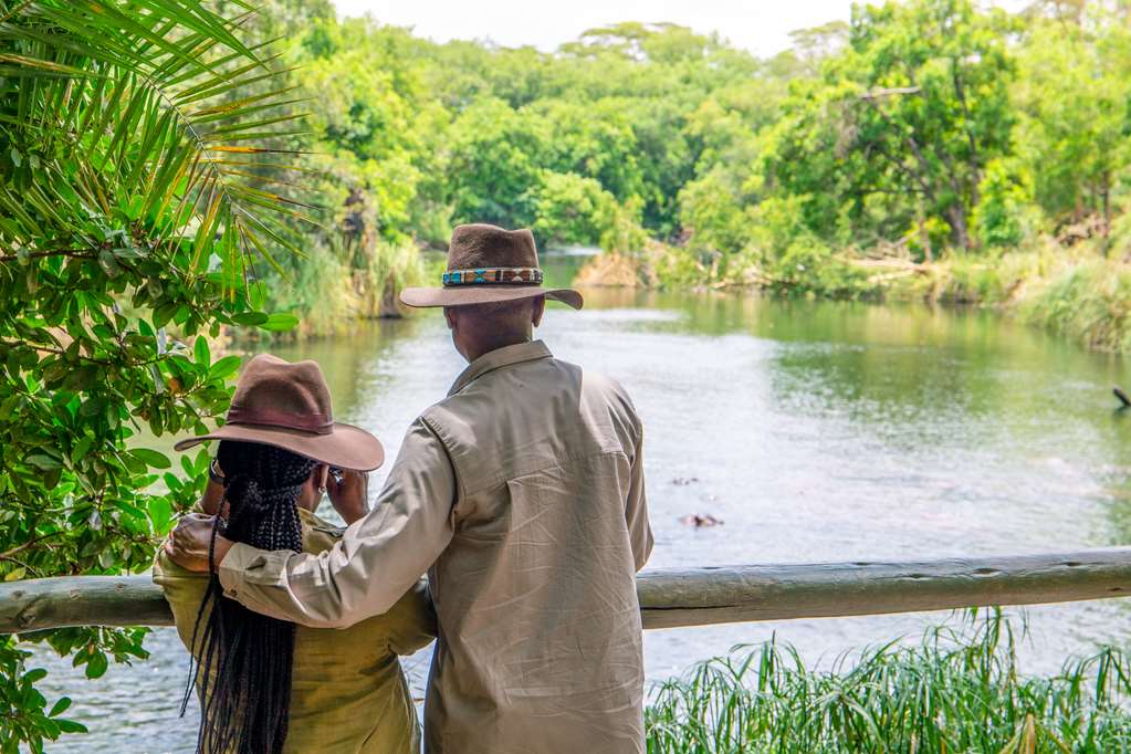 Experiences Mzima Springs
