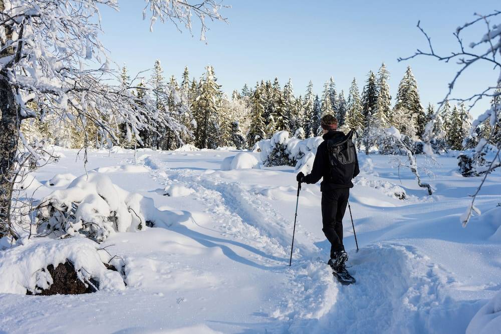 Snowshoeing