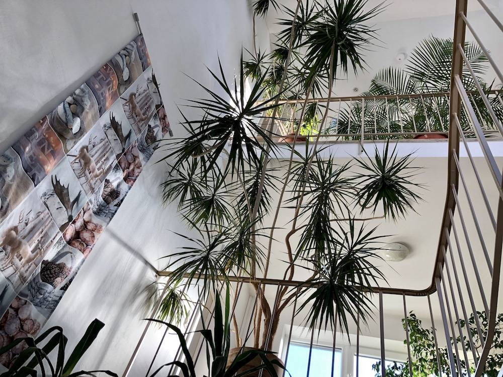 Interior entrance