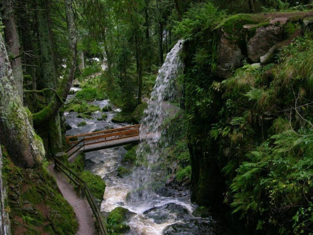 Hiking