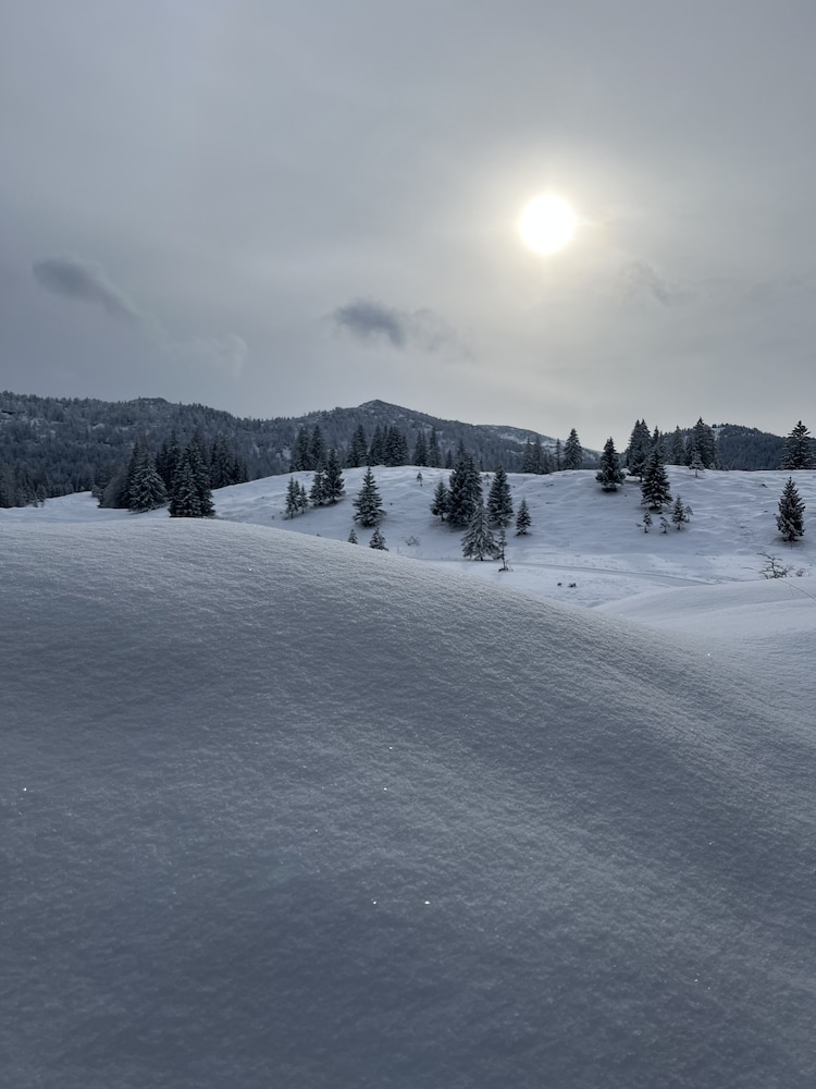Snowshoeing